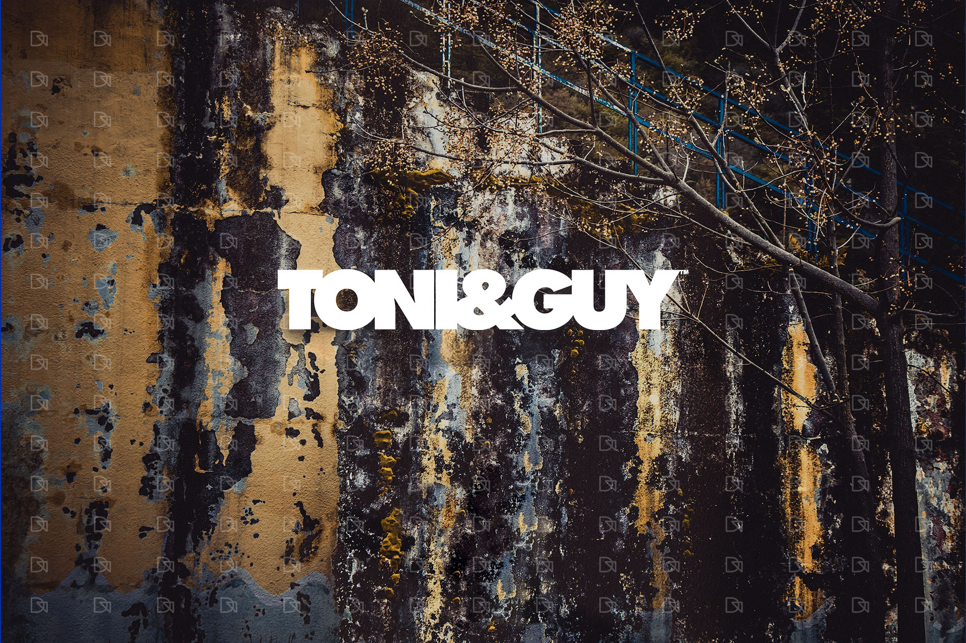 Toni & Guy Haircare Gifting